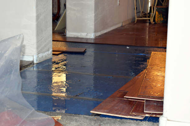 Professional Burst Pipe Cleanup technician working in Elkins, NH